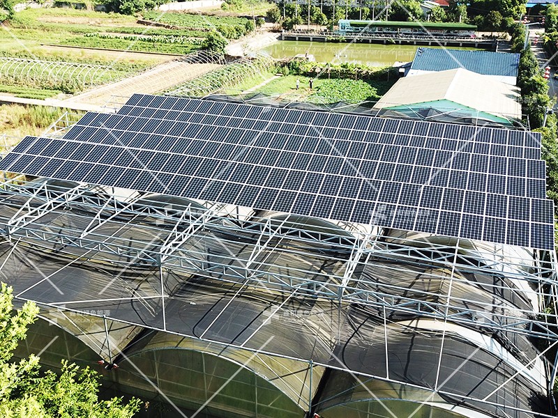 湖北人生就是搏绿色能源有限公司