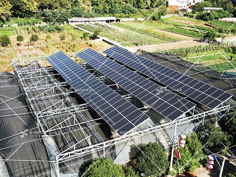 湖北人生就是搏绿色能源有限公司