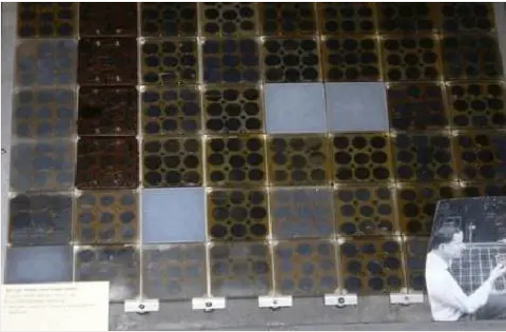 湖北人生就是搏绿色能源有限公司