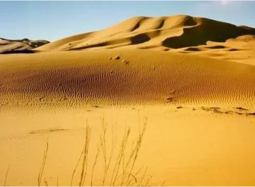 湖北人生就是搏绿色能源有限公司