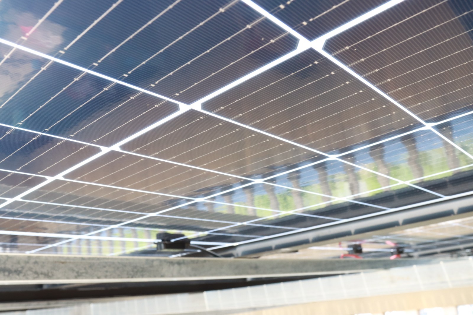 湖北人生就是搏绿色能源有限公司