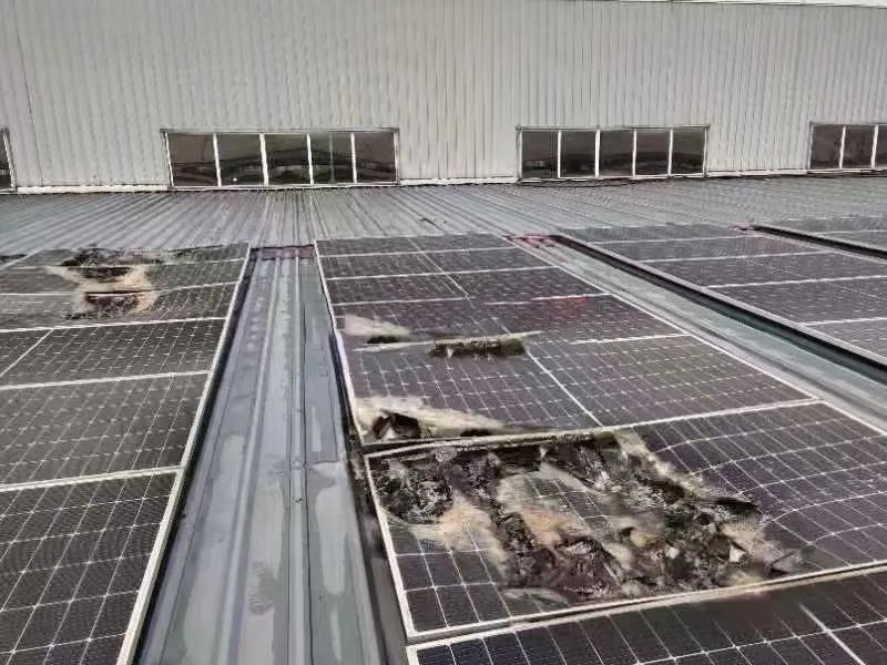 湖北人生就是搏绿色能源有限公司